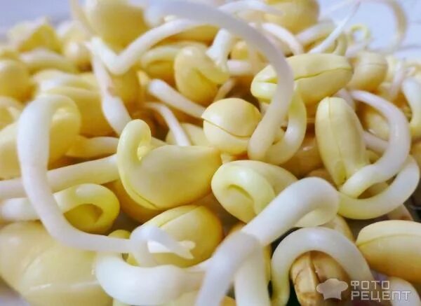 ростки соевых бобов federici 370мл. маринованные ростки сои. пророщенная соя маринованная. ростки сои маринованные купить. ростки сои.