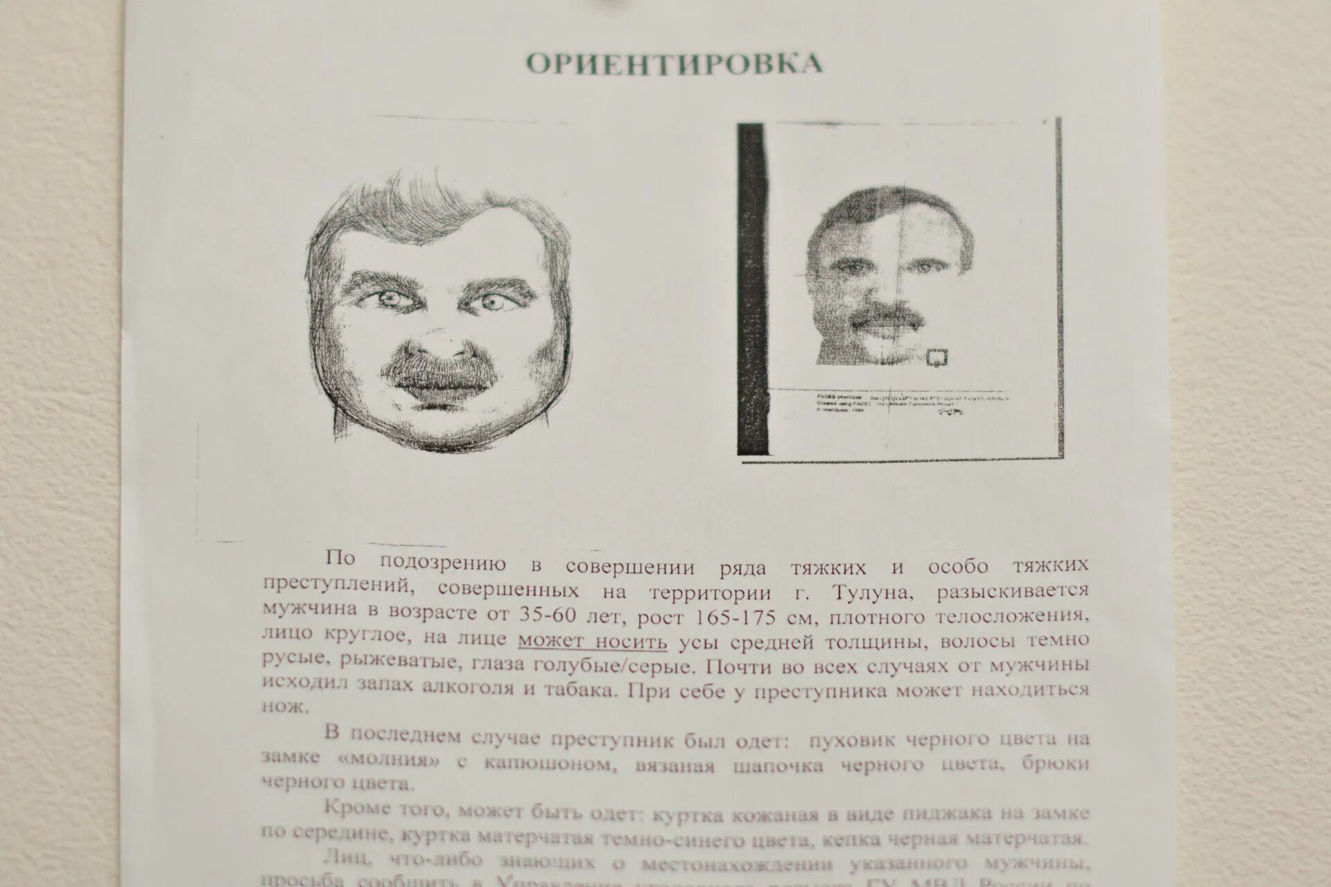 Структура ориентировки