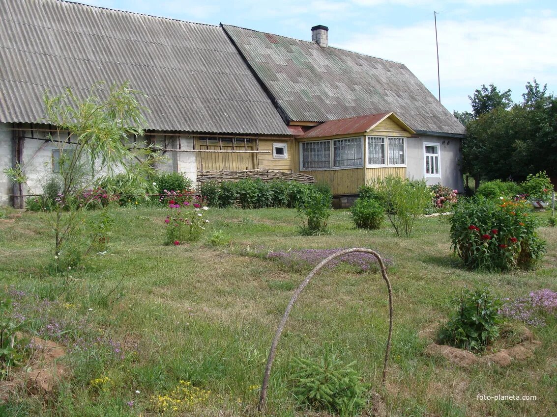 Погода в киршино печорского района. Псковская область Печорский район. Кулье Псковская область Печорский район. Киршино Печорский район. Анохова губа Печорский район.