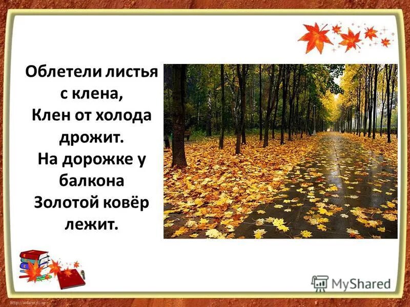 у подножия кленов ковром лежали. красивые леса. у подножия кленов ковром лежали. кленовый лист ковер. у подножия кленов ковром лежали.