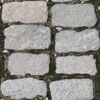 Дорожка сканворд