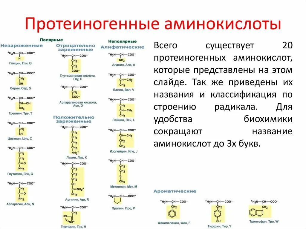 Состав радикалов аминокислот. Классификация протеиногенных аминокислот. Формулы протеиногенных аминокислот. Химическое строение 20 аминокислот. Структурные формулы 20 протеиногенных аминокислот.