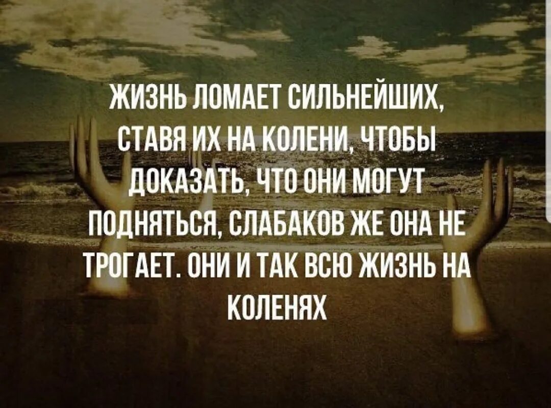 Высказывания сильных людей. Жизнь ломает сильных. Сильные цитаты. Высказывания о сильных людях. Цитаты ломать жизнь.