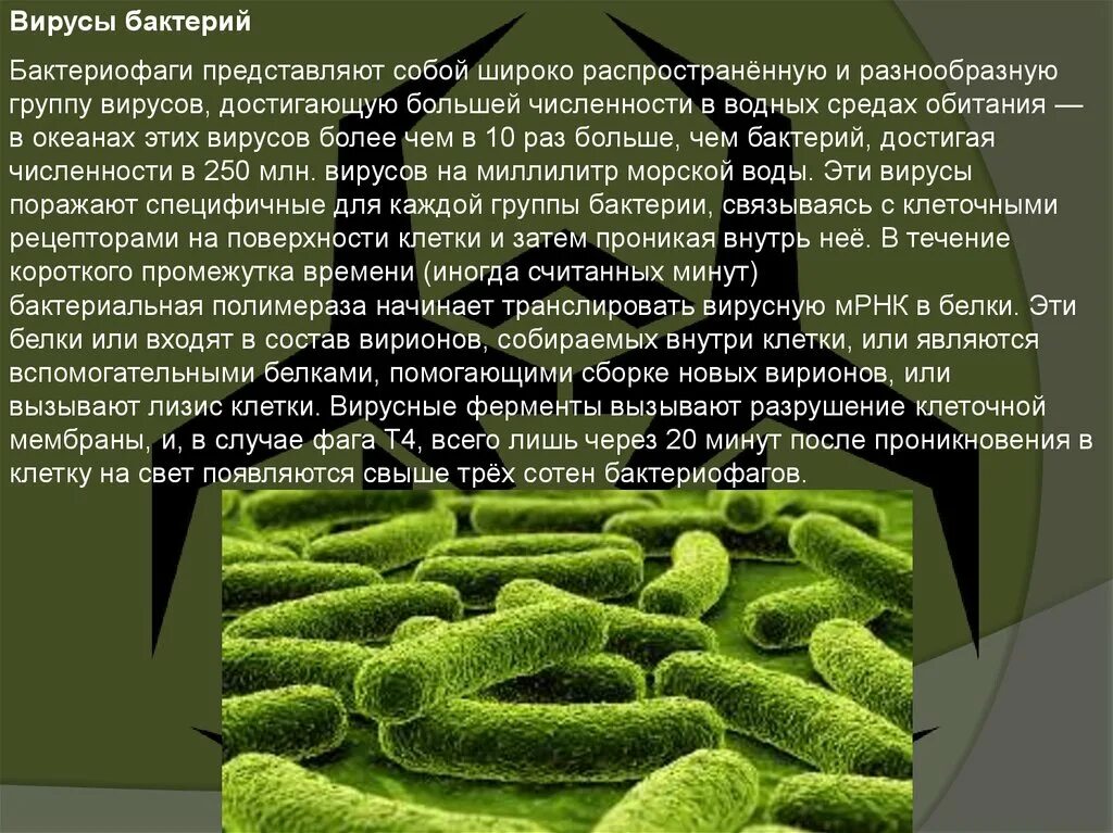 Вирусы группа микроорганизмов. Среда обитания вирусов. Среда обитания вирусов биология. Вирусы в водной среде. Среда обитания вирусов и бактерий.