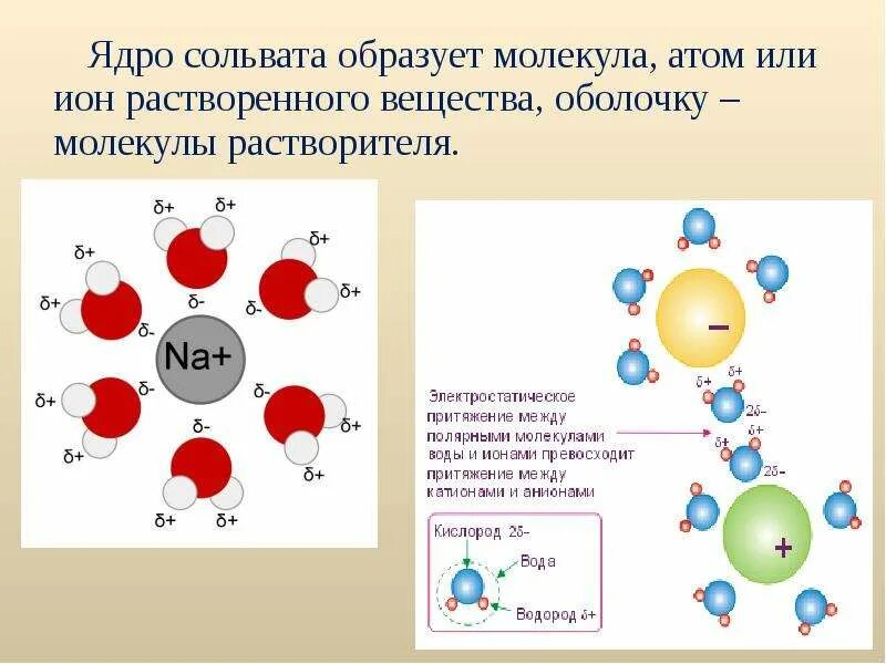 Во сколько раз молекула больше атома