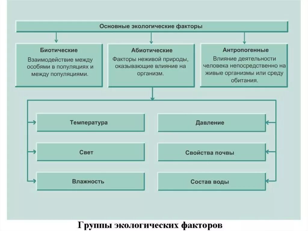 Абиотические и биотические экологические факторы. Абиотические экологические факторы. Экологические факторы среды абиотические биотические антропогенные. Абиотические факторы биотические факторы антропогенные. Биотическими факторами называют совокупность факторов