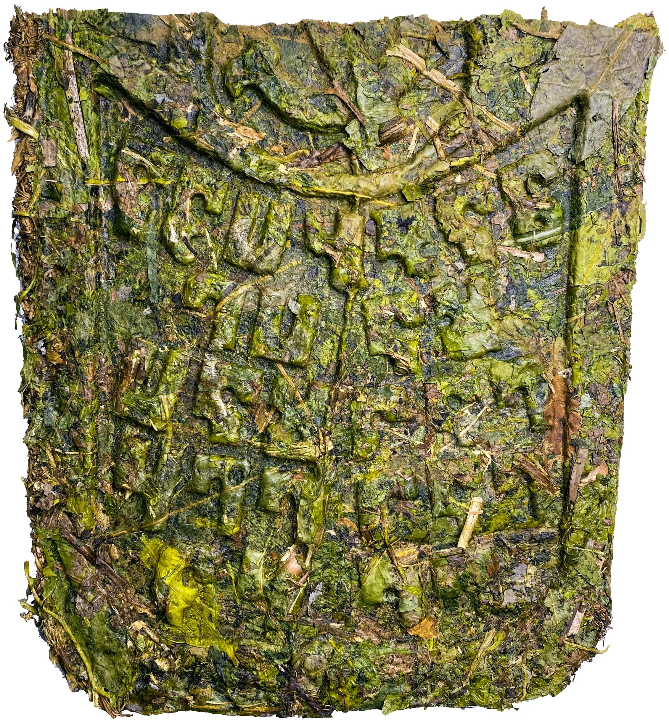 калмыцкий чай плиточный. калмыцкий чай плиточный прессованный. калмыцкий чай плиточный прессованный. калмыцкий чай плиточный прессованный. калмыцкий чай плиточный прессованный.