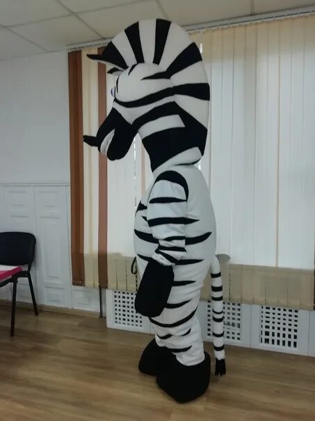 Zebra работа. Зебра на работе. ростовые куклы лошади зебры. костюм зебры как сделать дома своими руками из подручных материалов. алиса зебра работает.