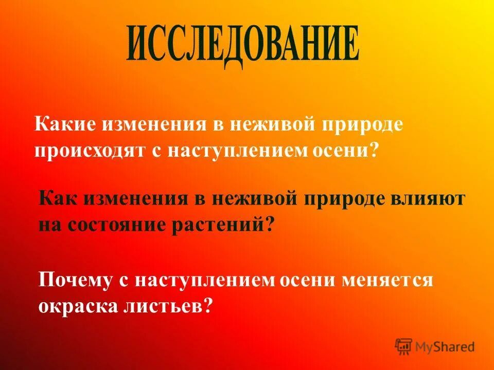 какие изменения происходят в природе зимой. весенние явления в живой природе. изменения в природе весной.
