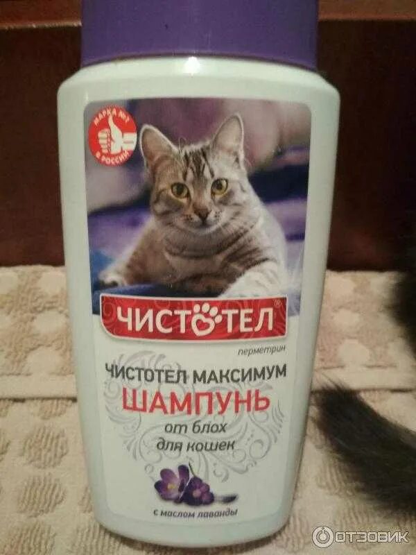 Шампунь от блох для кошек какой лучше. Шампунь от блох. шампунь от блох для котят. лучшие шампуни для кошек. противоблошиный шампунь для кошек.