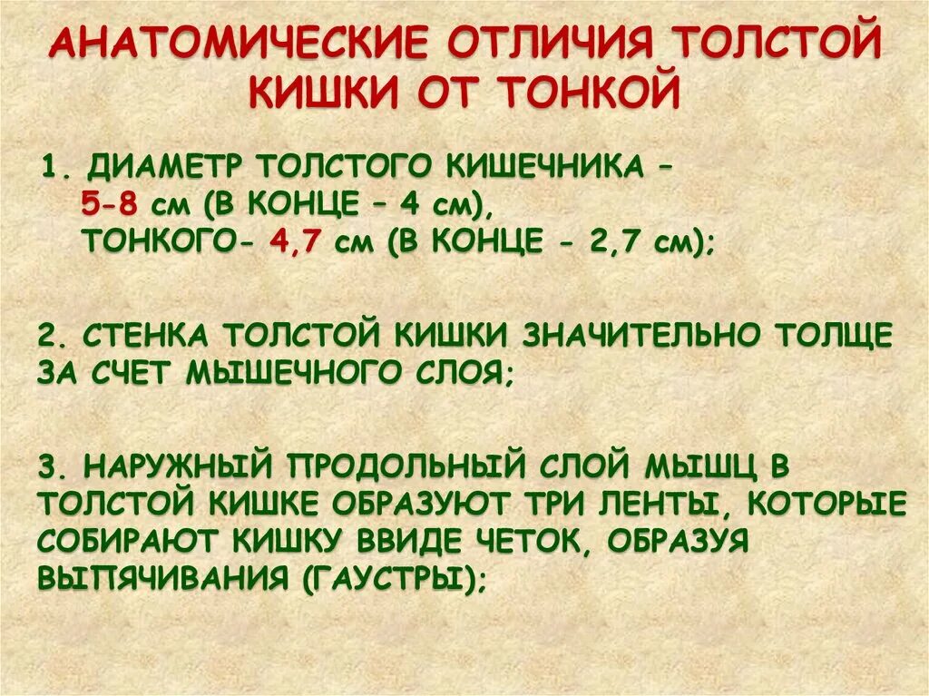 В чем видит толстой различие между народом. Отличия толстой кишки от тонкой. Внешние отличия толстой кишки от тонкой. Отличие ободочной кишки от тонкой. Тонкий и толстый кишечник различия.