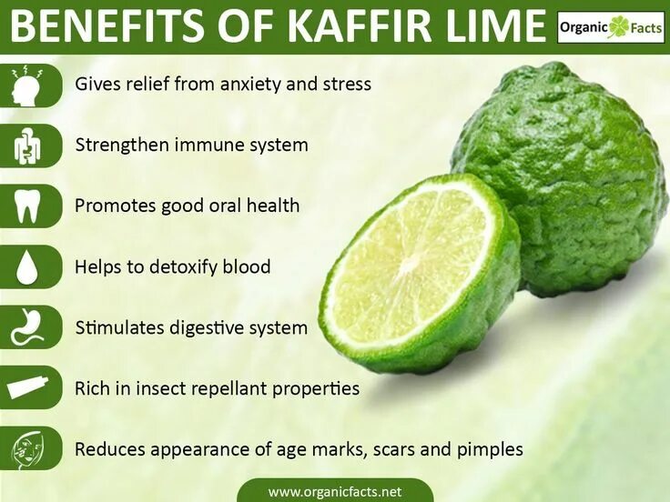 Инструкция lime. Kaffir lime. health benefits. тег lime. best benefits.