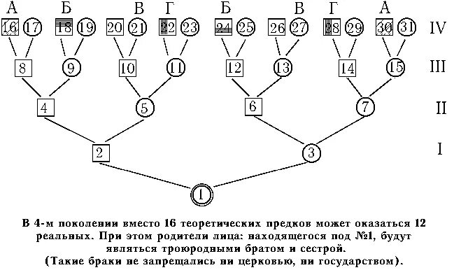 Схема поколений. Три поколения в родословной. Родословное дерево до 7 колена. Родословная семьи три поколения схема.