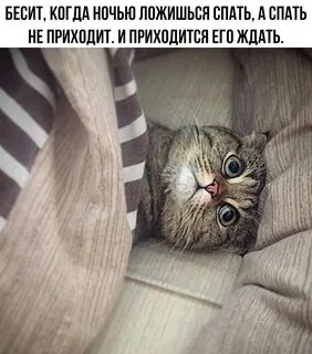 Она не ложилась