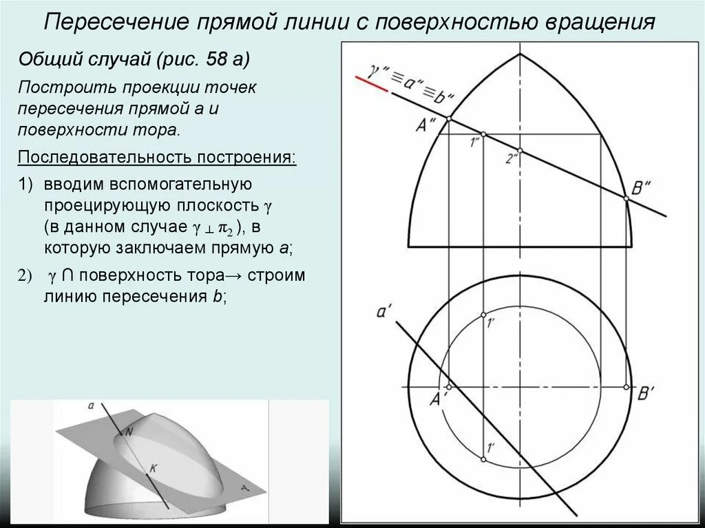 Поверхность вращения Кривые, Образование, Интерьеры особняков