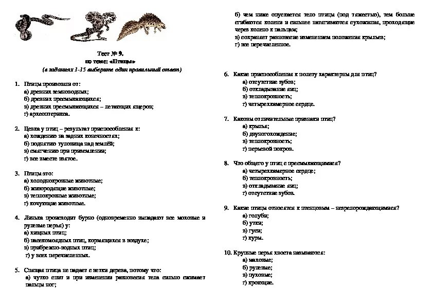 Контрольная работа земноводные пресмыкающиеся птицы. Проверочная работа по биологии 7 класс пресмыкающихся. Контрольная работа биология 7 класс по теме пресмыкающиеся. Проверочная работа по биологии 7 класс по теме класс земноводные. Проверочная работа по биологии 7 класс земноводные и пресмыкающиеся.