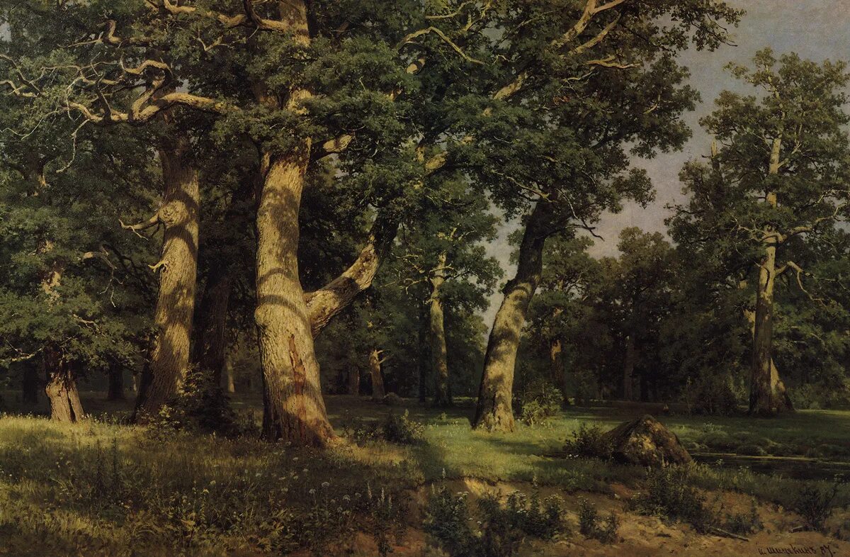 иван иванович шишкин( 1832-1889 гг. царственный дубовый лес подступал к самым. иван иванович шишкин буковый лес в швейцарии. дубрава лес нарисованный. вековые дубы кожан-городокские.