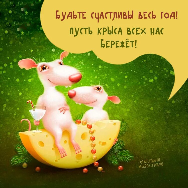 Новогодний тост своими словами короткие. Юморные новогодние тосты. новогодний тост смешной. смешные тосты на новый год. прикол тост на новый год.