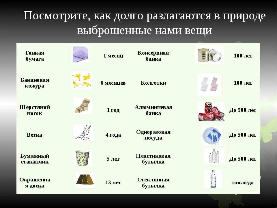 Сколько разлагается жвачка