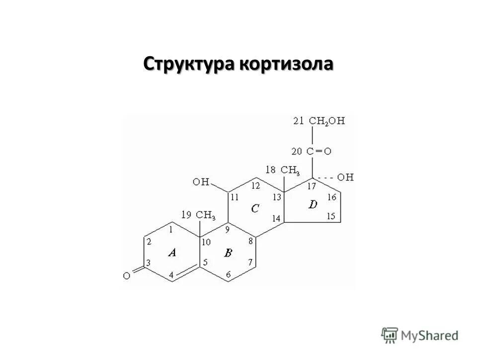 Как уменьшить гормон стресса. Кортизол в каких продуктах содержится. Кортизол гормон. Повышенный кортизол. Кортизол в каких продуктах содержится.