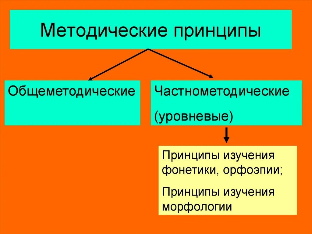 Методическими принципами являются. Методические принципы обучения. Общеметодические и частнометодические принципы. Честно методические принципы. Принципы изучения морфологии Общеметодические принципы.