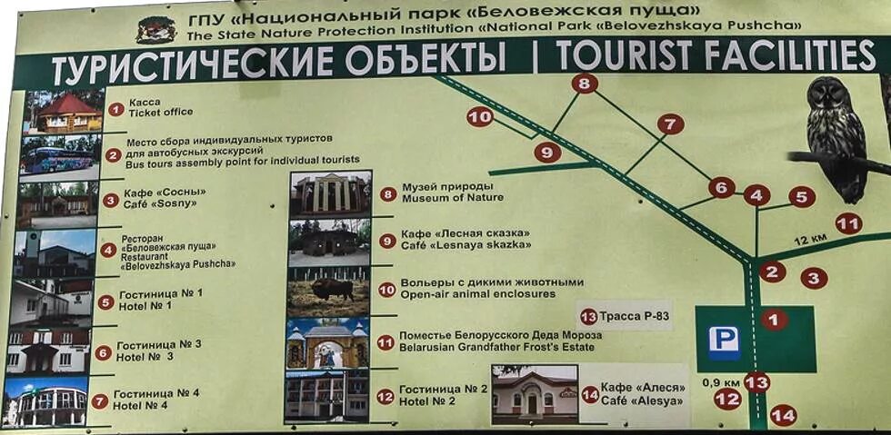 Беловежская пуща территория. Карта национального парка Беловежская пуща. Беловежская пуща национальный парк на карте. Беловежская пуща карта заповедника. Беловежская пуща на карте Белоруссии.