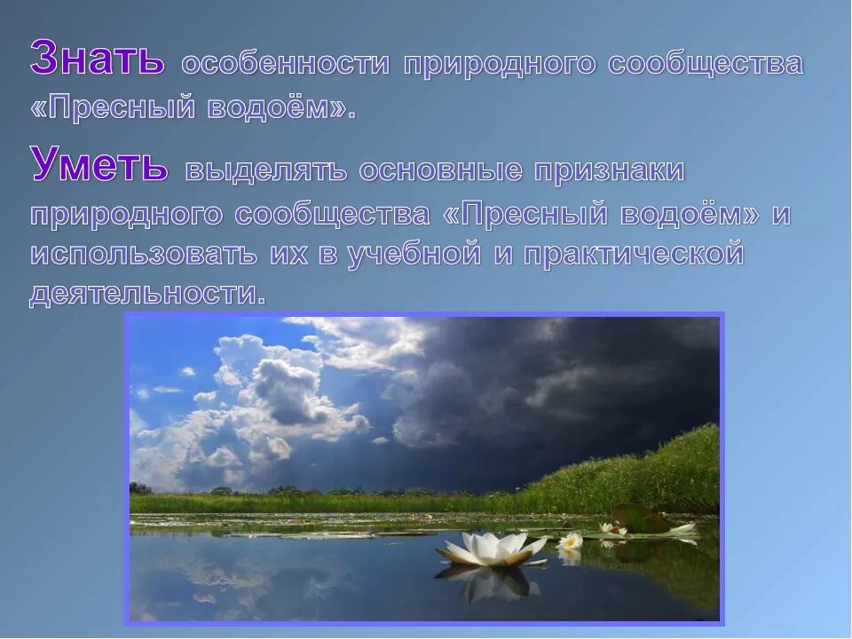 Информация о водоемах. Жизнь в пресноводах. Жизнь в пресной воде. Что такое водоемы 4 класс. Окружающий мир жизнь пресных водах