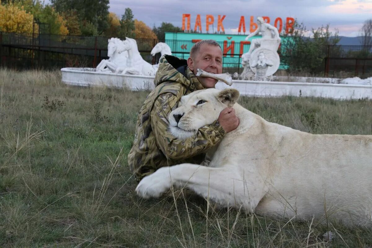 Парк тайган в крыму последние новости. Крым львы сафари парк Тайган. Белогорск Крым парк Львов Тайган.