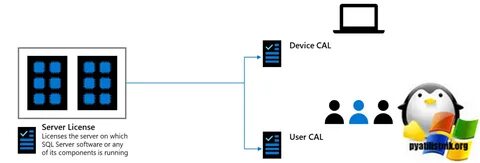 Device cal
