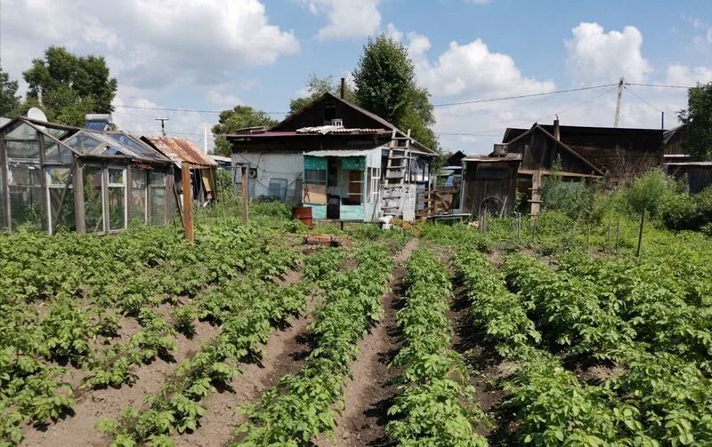 Авито белогорске амурской области свежие