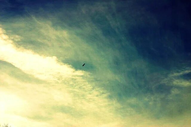 Dream quotes. Your dreams our wings. Just your dream. It was just a dream. Make things happen.