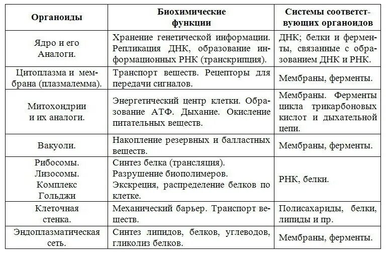 Строение органоидов клетки кратко. Биология таблица органоиды строение функции. строение и функции органоидов эукариотической клетки таблица. органоиды клетки строение и функции таблица. таблица клеточные органоиды строение и функции.