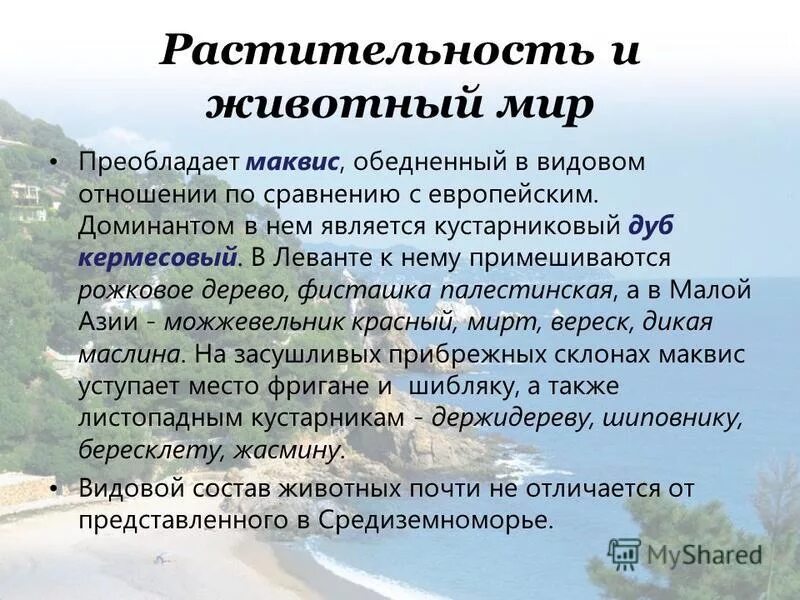 в животном мире преобладают