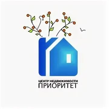 Центральное агентство недвижимости логотип. Ан центр недвижимости. Империя агентство. Центр недвижимости казань. Центральное агентство недвижимости новосибирск логотип.