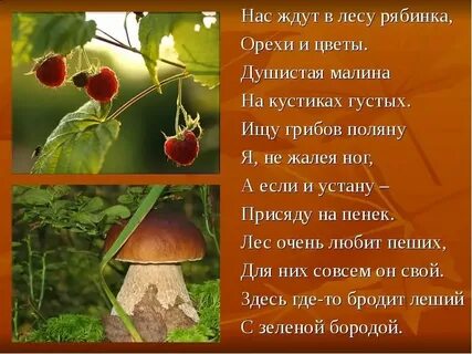Опушка леса стихотворение