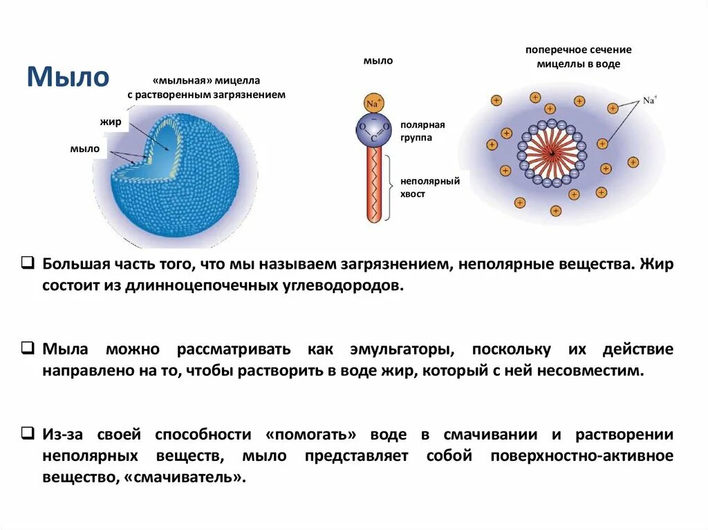Вода растворяет мыло. Мицеллы в составе мицеллярной воды. Структура мицеллы в мыле. Мицеллы мыла и молекула пав. Мицелла мыла.