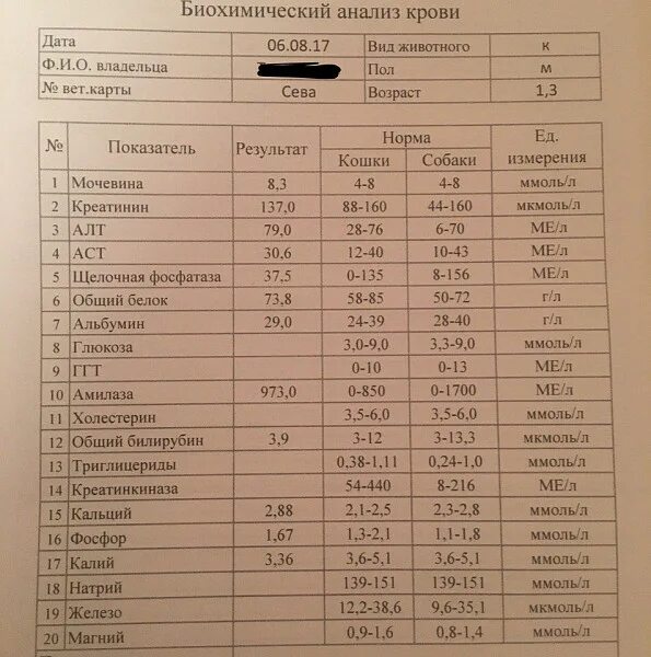 Биохимический анализ крови воду пить можно. Биохимия крови креатинин. Биохимия крови креатинин норма. Биохимический анализ крови креатинин норма норма. Норма креатинина в биохимии крови.