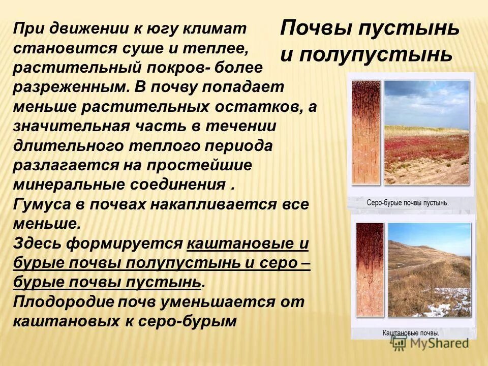 Свойства почвы в пустыне. Пустыни и полупустыни почва. почвы пустынь и полупустынь в россии. почвы пустынь и полупустынь в евразии. почвы пустыни и полупустыни в россии.