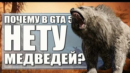 Почему у медведя нету