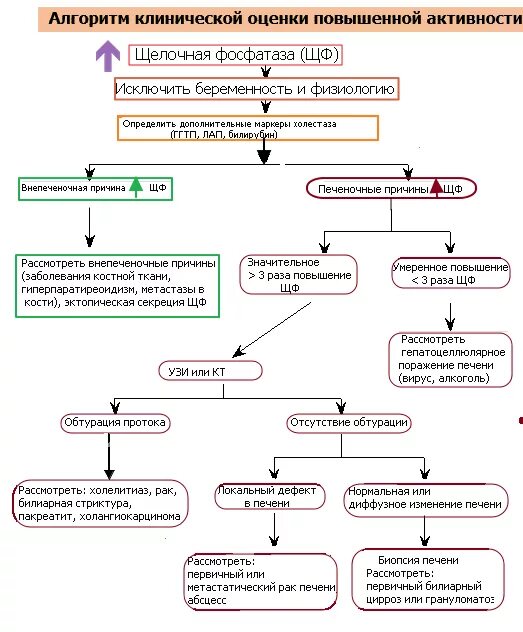 Почему повышена щелочная. Щелочная фосфатаза причины. Щелочная фосфатаза гемолиз. Причины увеличения щелочной фосфатазы. Щелочная фосфатаза повышена причины.