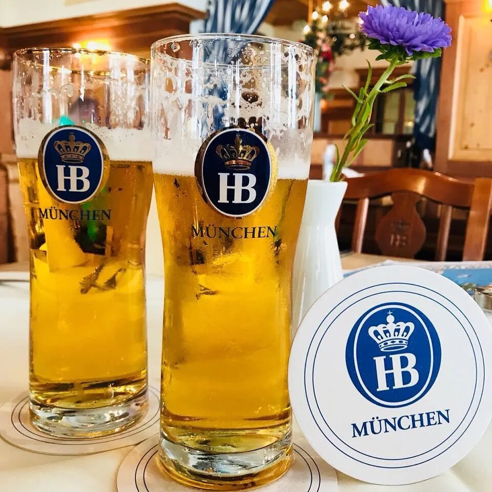 Пиво hofbrau munchen. Пиво Хофброй Мюнхен. Пиво Хофброй Мюнхен Вайс. Хофброй Дункель. Hofbräu München пивоваренные компании Германии.