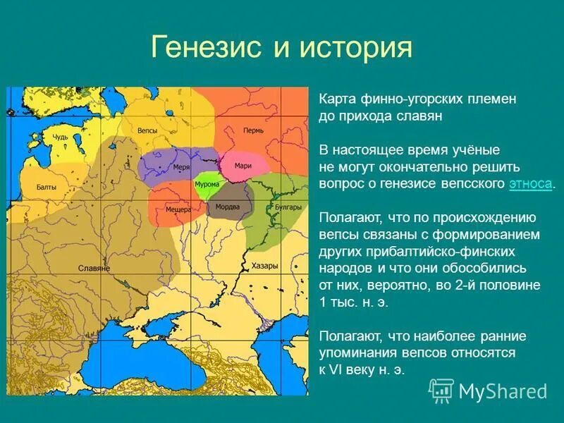 Вепсы ареал расселения. Территория расселения вепсов. Финно угры территория расселения. Расселение финно-угорских племен.