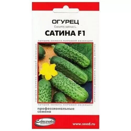Огурец сатина f1 6 шт. Семена огурец сатина f1 семко. Центр огурца. Огурец сатина f1 6 шт. Сатина огурец описание.