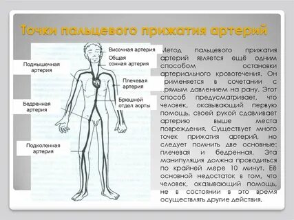 Пальцевое прижатие сонной артерии производится