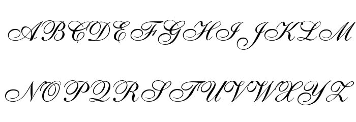 Anastasia script. Шрифт als. скриптовый шрифт анастасия. шрифт анастасия скрипт жирный. rouge script.