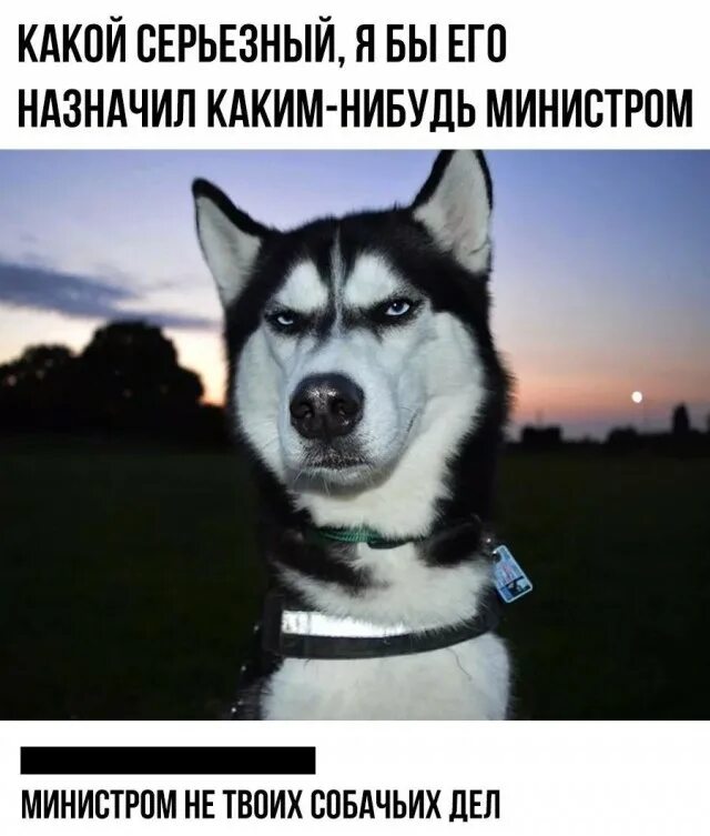 Какие нибудь дела. Я бы его назначил каким нибудь министром. серьезный прикол. я бы назначил его каким нибудь министром мем. лицо серьёзное назначил бы министром.