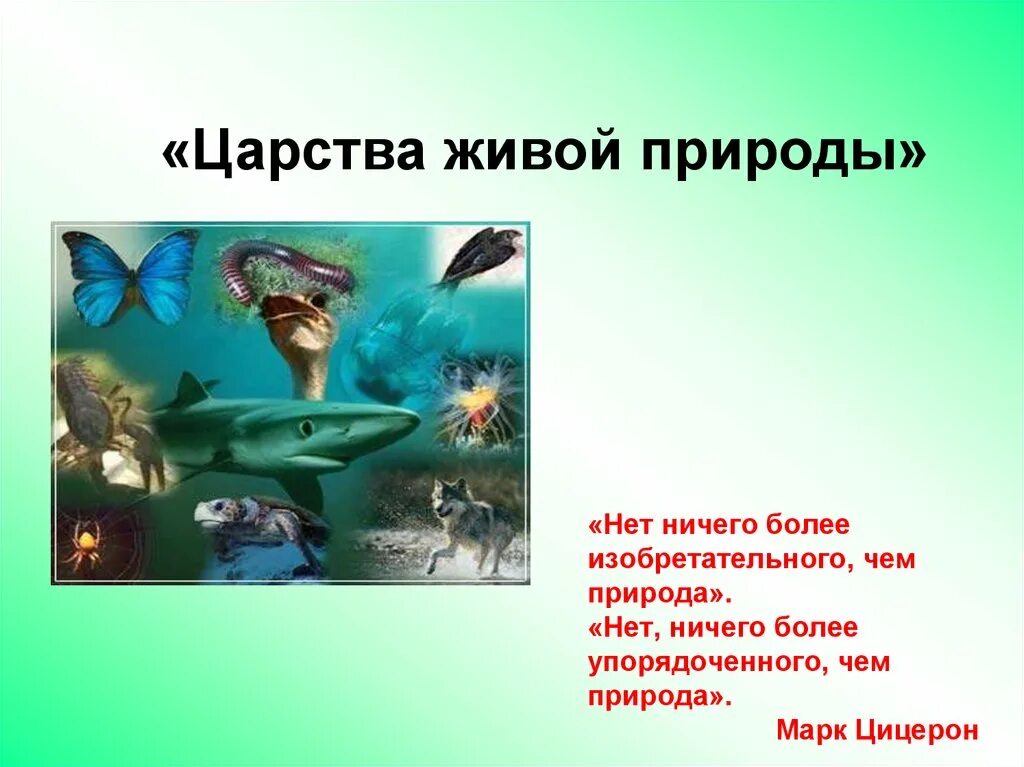 Урок царства живой природы. Урок по биологии. Тема урока по биологии. Уроки биологии тема