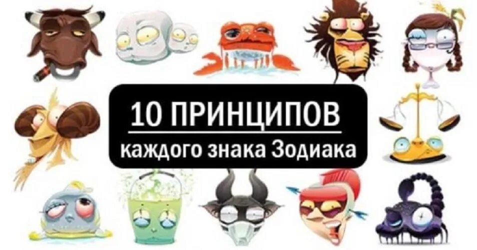 10 принципов жизни. 10 Принципов каждого знака зодиака. Картинка по каждому знаку зодиака. 10 Принципов рыб. 10 Принципов Овнов.