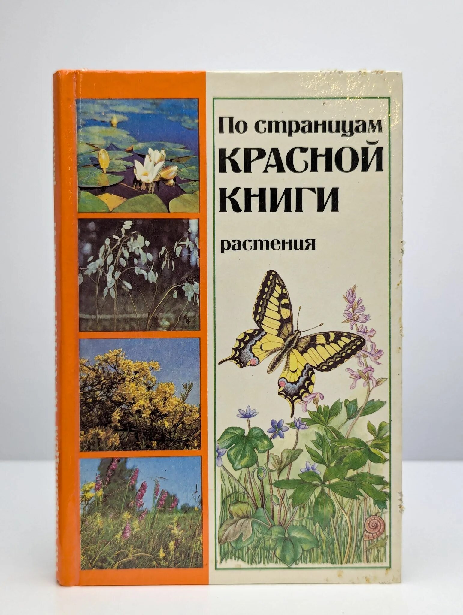Читать книгу о растениях