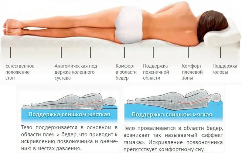 Поясница матрас. Ортопедический матрас позвоночник. Правильный матрас для спины. Положение тела на ортопедическом матрасе. Правильное положение позвоночника на матрасе.